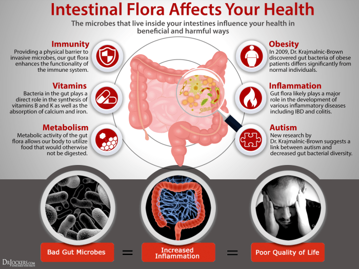 Gut health brain importance connection bacteria biome infographic feeling healthy axis digestive northwestpharmacy mental why digestion keep trust insects benefit