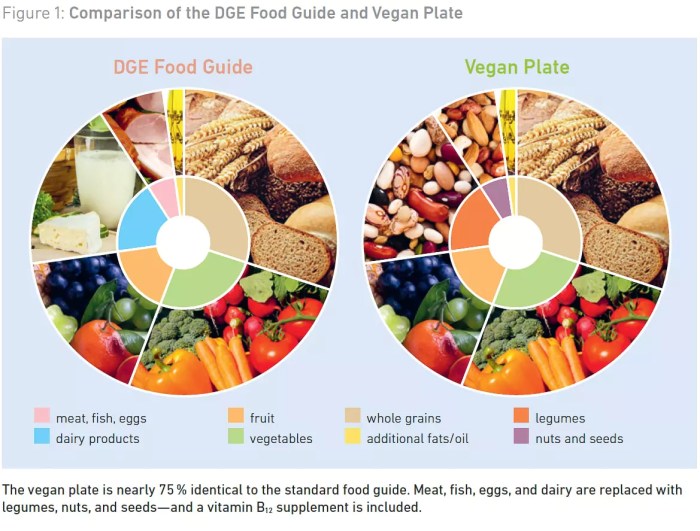 Wie gesund ist vegane ernährung wirklich